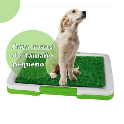 Baño Portátil con Césped Sintético para Perros