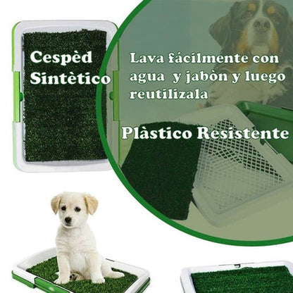 Baño Portátil con Césped Sintético para Perros