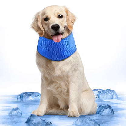 Bandana Refrescante para Perros (Tallas S a XL)