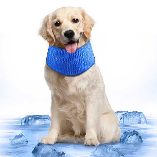 Bandana Refrescante para Perros (Tallas S a XL)